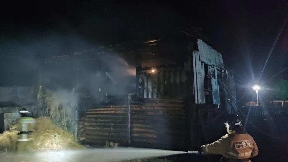 Сегодня ночью в Челно-Вершинском районе горела надворная постройка с сеном 