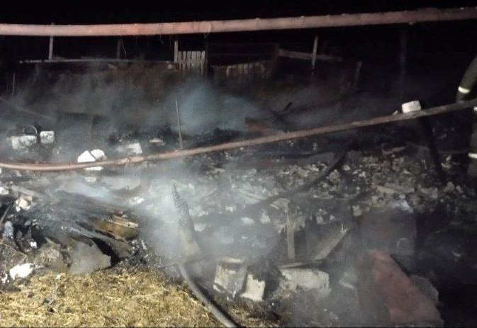 Вечерний пожар в поселке Новая Вязовка Красноармейского района 