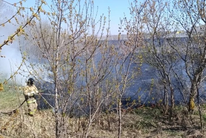 Красноярские огнеборцы дважды за выходной тушили природные пожары