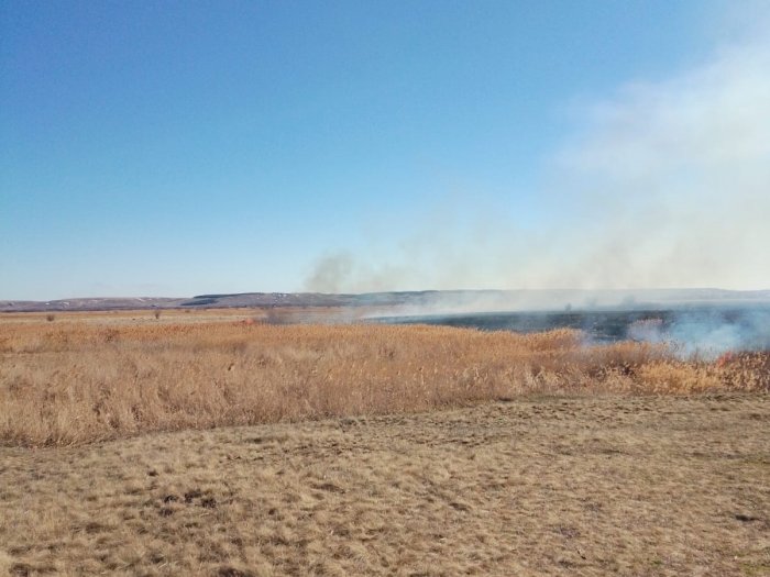 Природный пожар в Шигонском районе