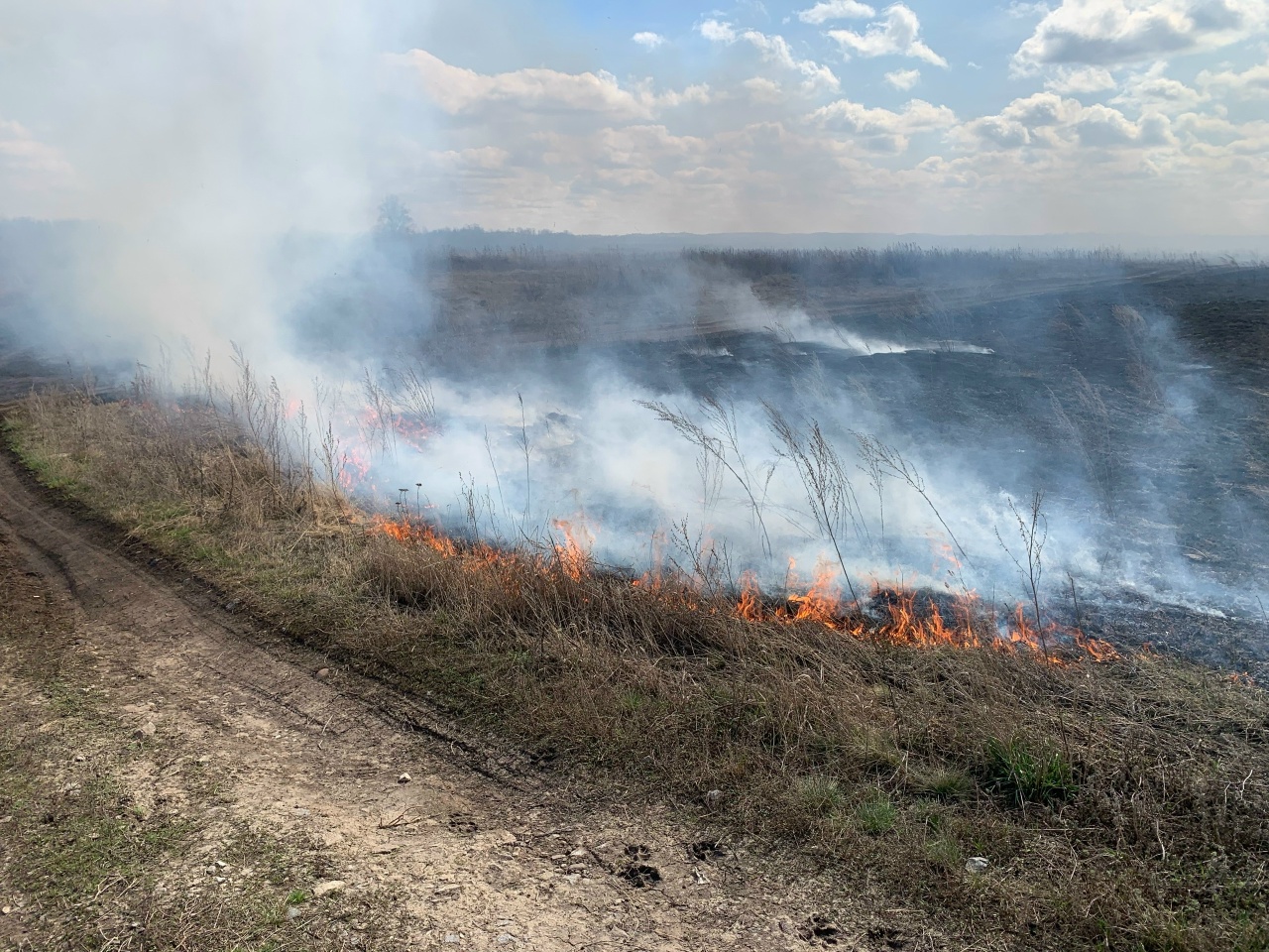 Все выходные в Кинель-Черкасском районе горела трава!