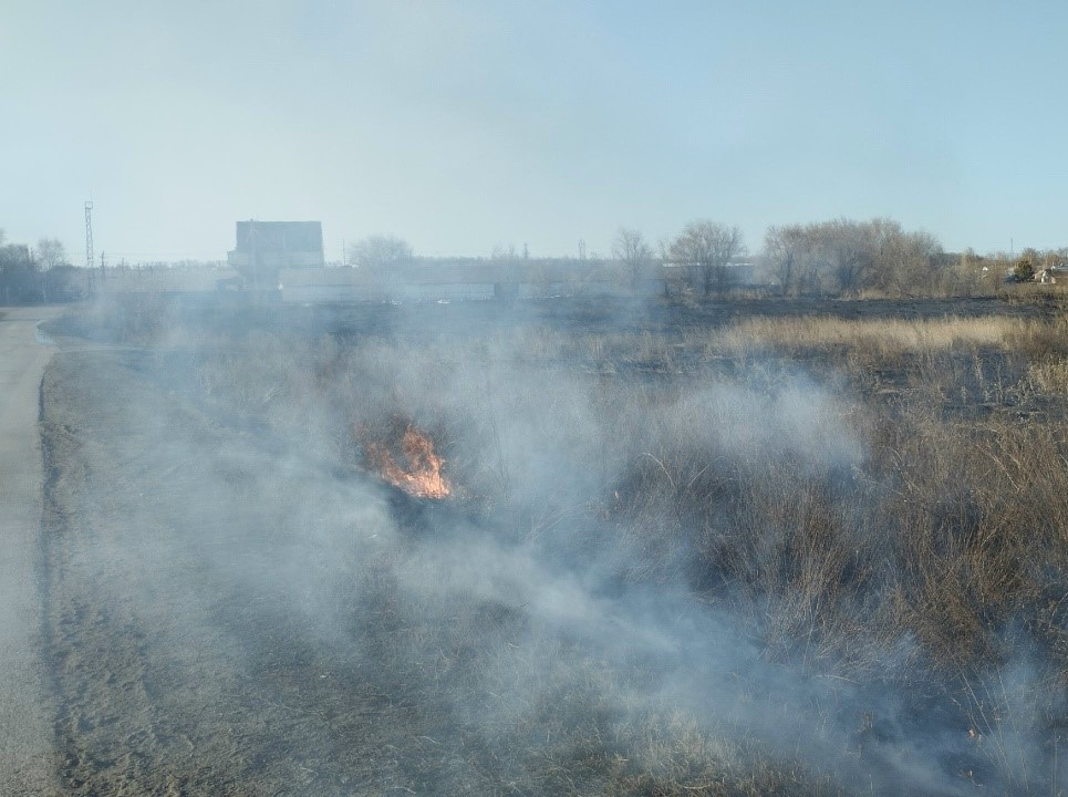 В Кинель-Черкасском районе произошло возгорание травы на площади 500 квадратных метров