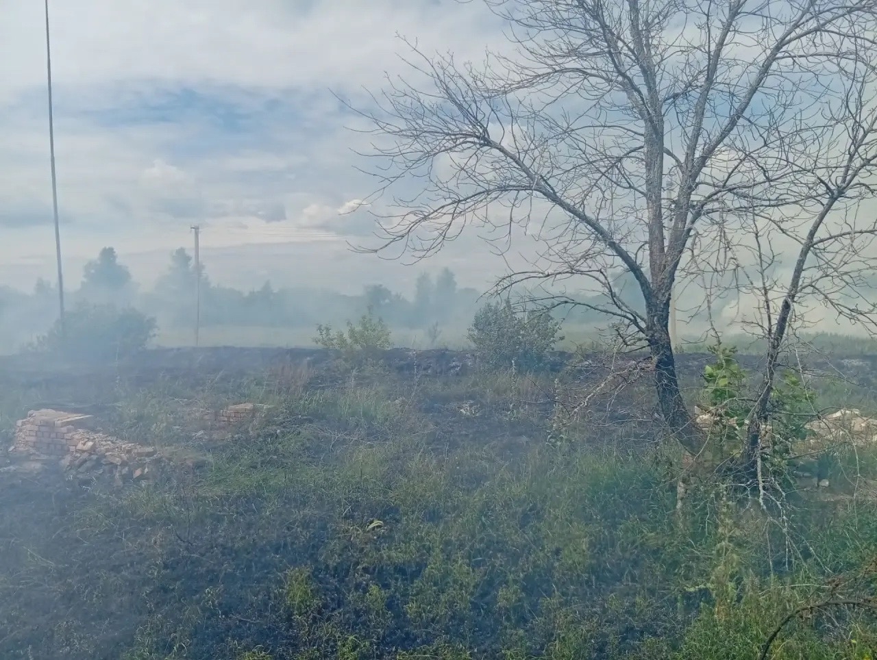 Возгорание травы произошло сегодня в Кинель-Черкасском районе