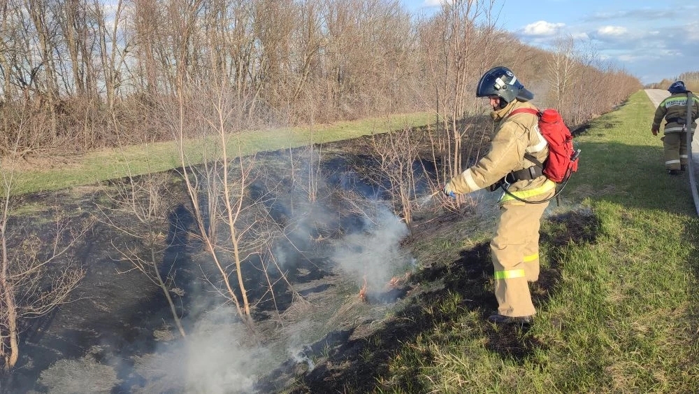 В Челно-Вершинском районе горела сухая трава