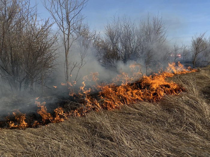 Вчера в Безенчукском районе произошло возгорание сухой травы на площади 1000 квадратных метров