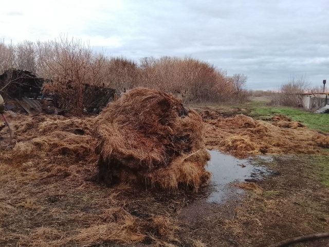 В субботу в Большечерниговском районе горели 2 тонны сена