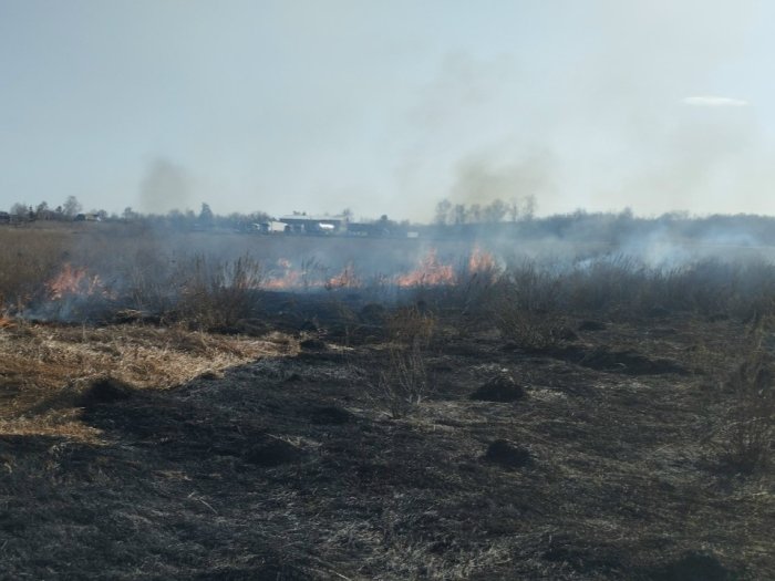 В Кинель-Черкасском районе произошло возгорание травы на площади 500 квадратных метров