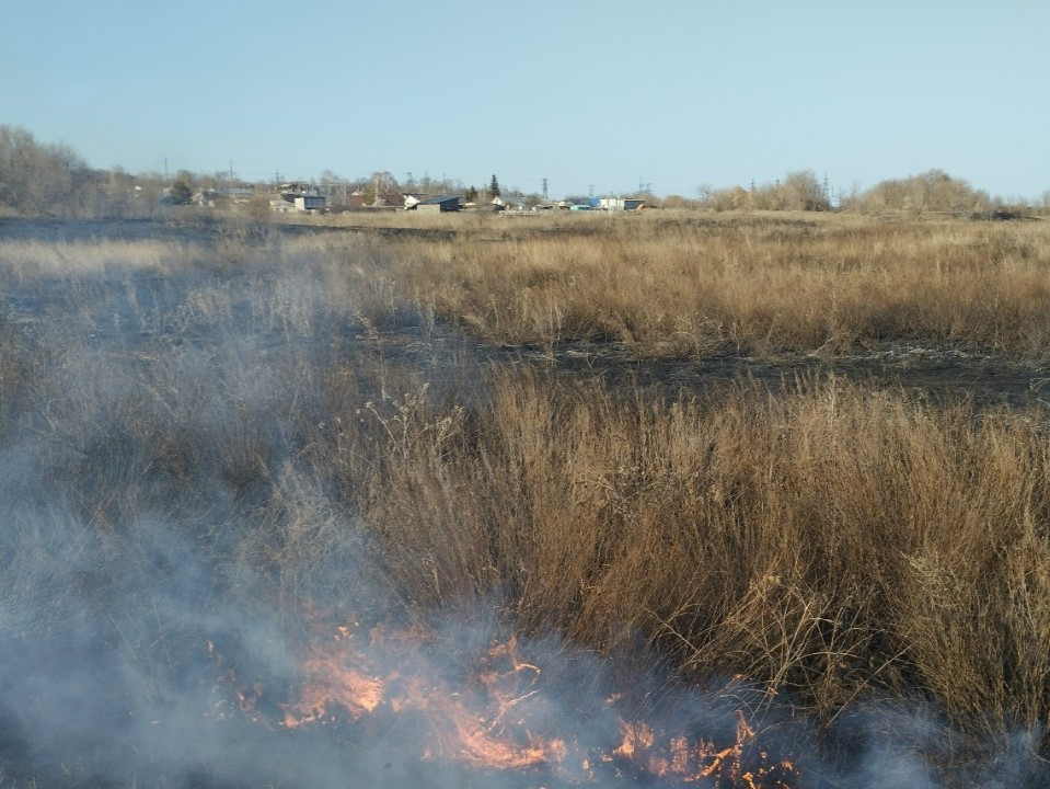 В Кинель-Черкасском районе произошло возгорание травы на площади 500 квадратных метров