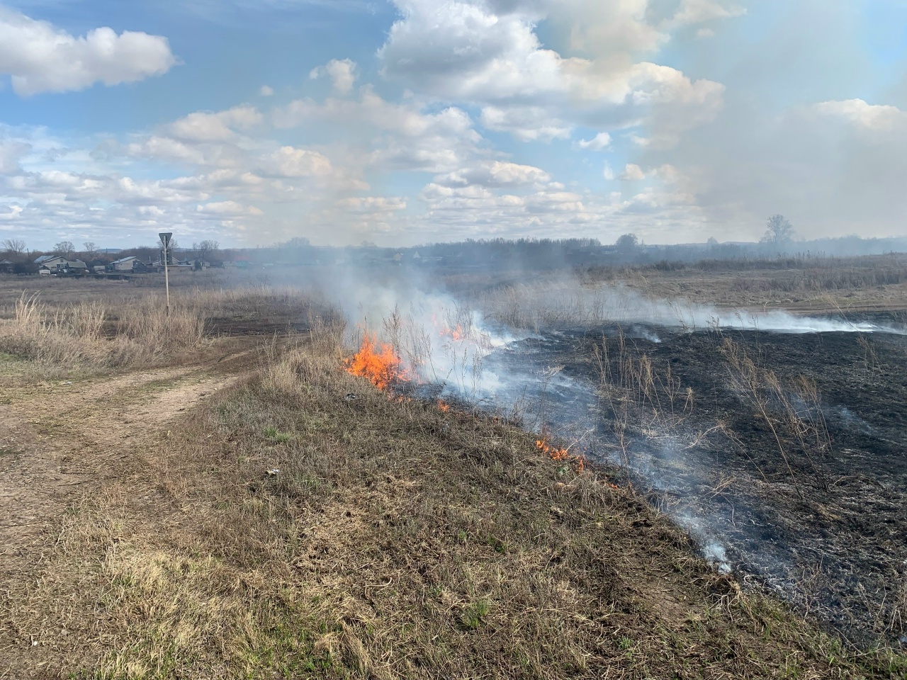 Все выходные в Кинель-Черкасском районе горела трава!