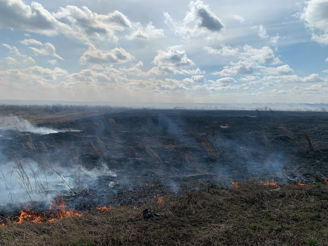Все выходные в Кинель-Черкасском районе горела трава!