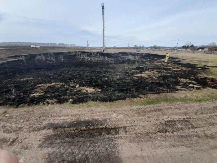 В Челно-Вершинском районе горела сухая трава