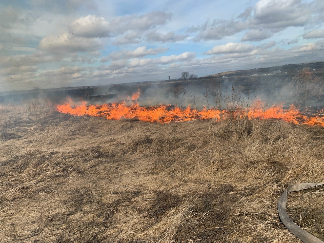 Все выходные в Кинель-Черкасском районе горела трава!