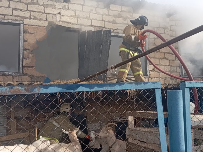 В настоящий момент в Красноярском районе огнеборцы пожарно-спасательного отряда № 41 ликвидируют возгорание хозяйственных построек