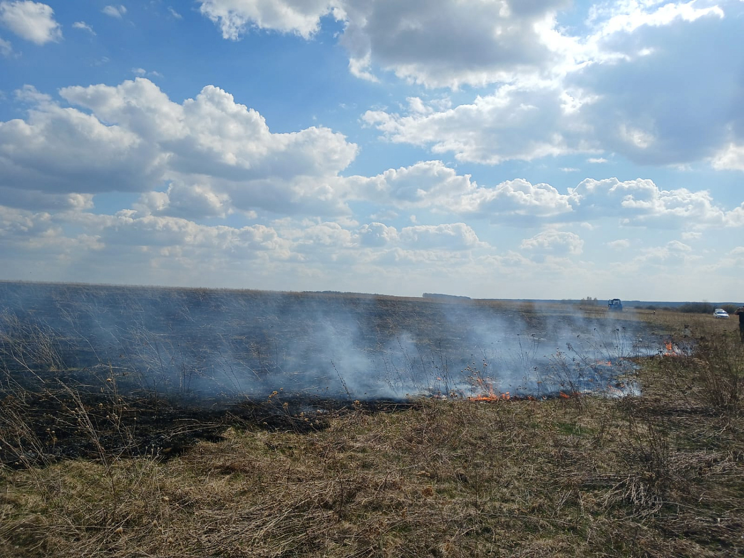 В выходные дни в Шенталинском районе пожарные несколько раз выезжали на тушение сухой травы
