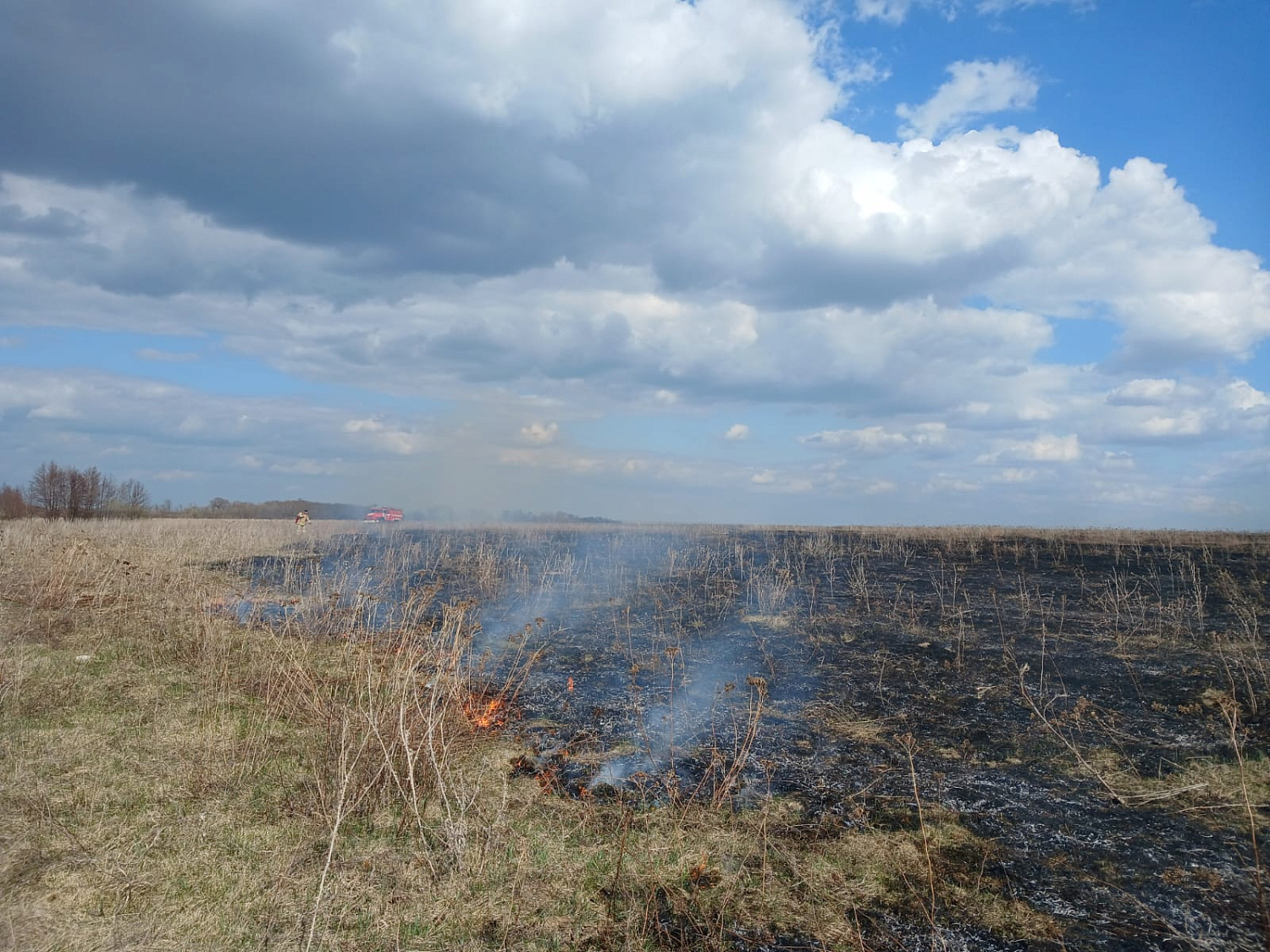 В выходные дни в Шенталинском районе пожарные несколько раз выезжали на тушение сухой травы