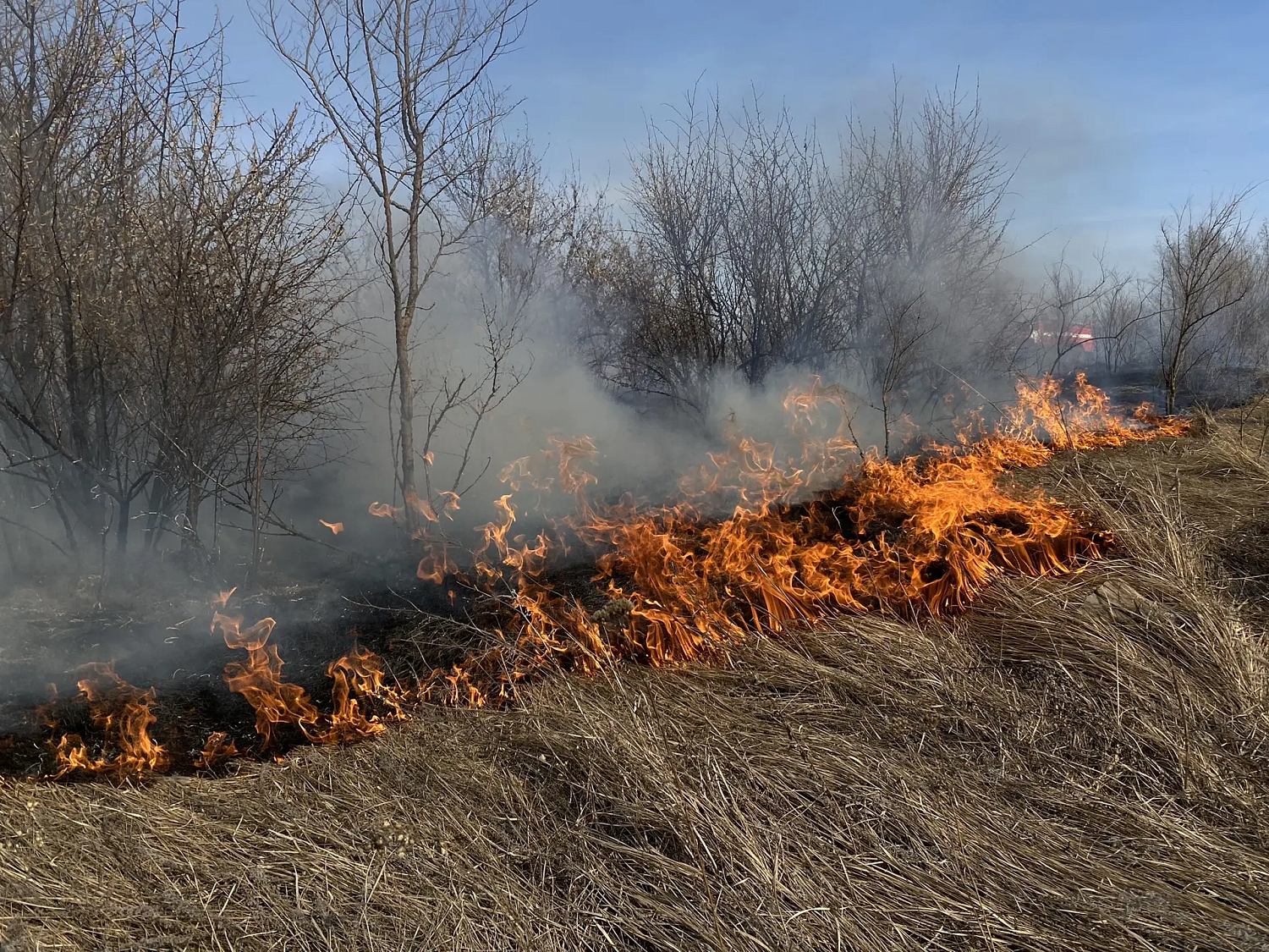 Вчера в Безенчукском районе произошло возгорание сухой травы на площади 1000 квадратных метров